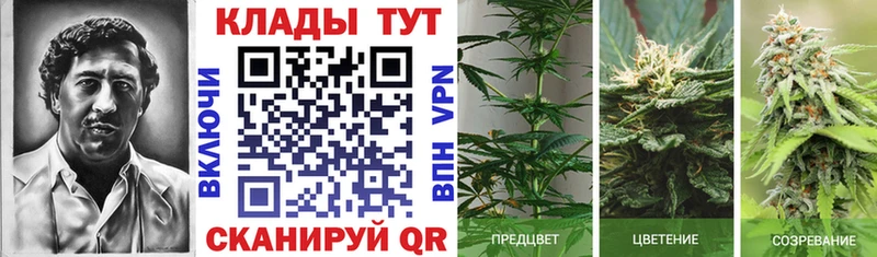 Купить наркоту Спасск-Дальний АМФЕТАМИН А ПВП Мефедрон Гашиш Марихуана COCAIN