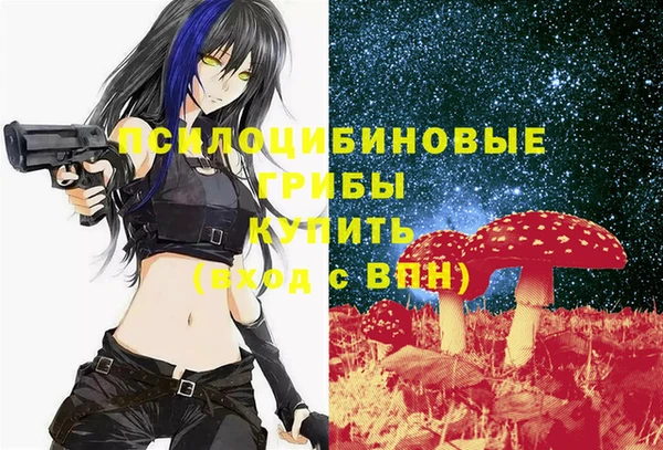 а пвп мука Кукмор