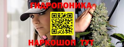 индика Балахна