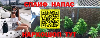дживик Бийск