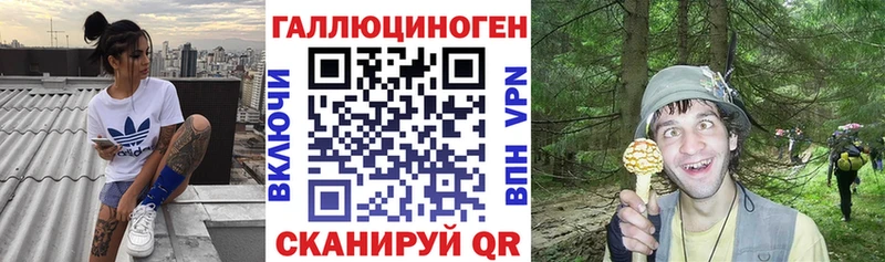 где продают наркотики  Спасск-Дальний  hydra маркетплейс  Псилоцибиновые грибы Psilocybine cubensis 