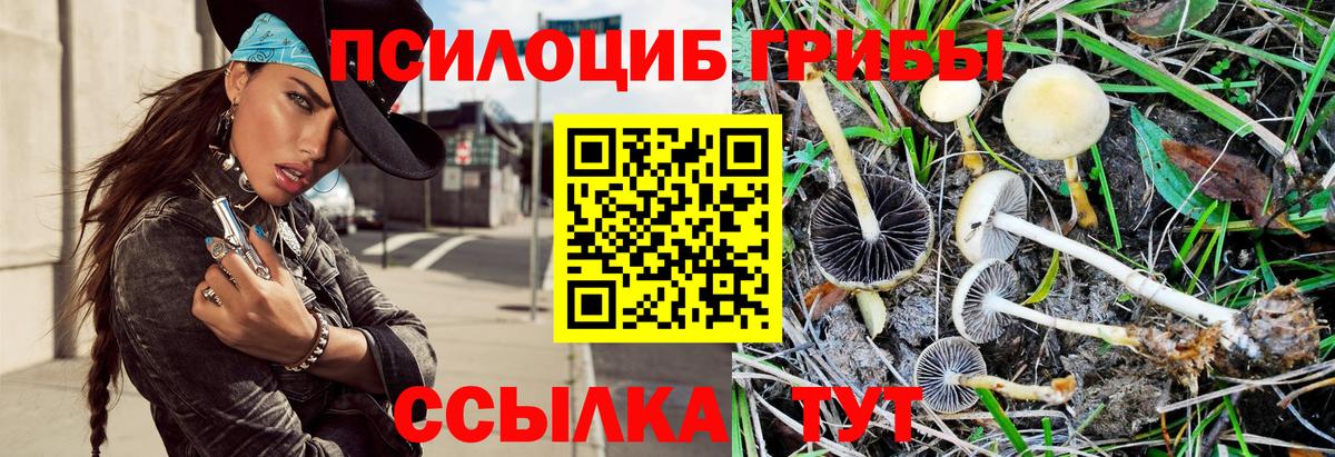 продажа наркотиков  Спасск-Дальний  Галлюциногенные грибы Cubensis 