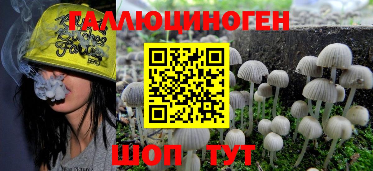 Галлюциногенные грибы ЛСД  Галлюциногенные грибы MAGIC MUSHROOMS  Спасск-Дальний 