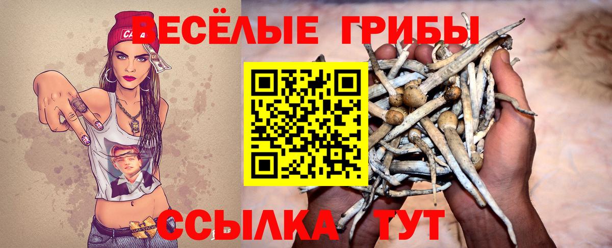 Спасск-Дальний  Псилоцибиновые грибы мицелий  Вход с VPN 